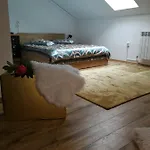 House Minerilor Apartmán