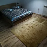 House Minerilor Apartmán Kluž