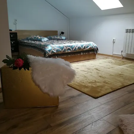 House Minerilor Apartament