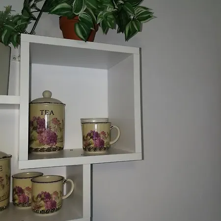 House Minerilor Apartament *