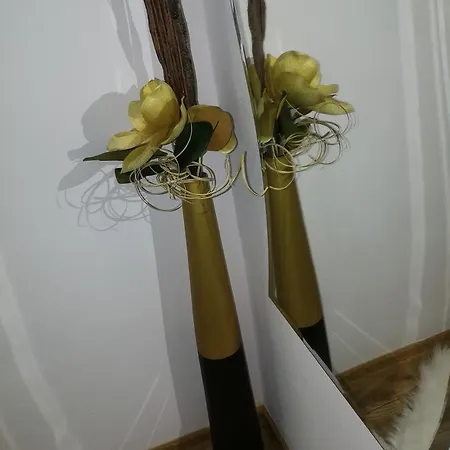 House Minerilor Lejlighed *