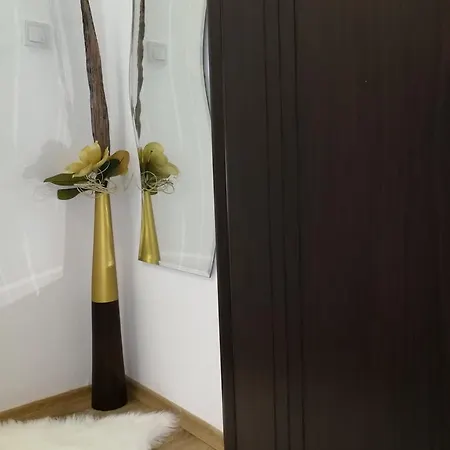 House Minerilor Lejlighed Cluj-Napoca