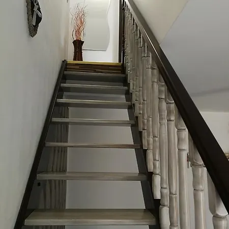 House Minerilor Apartament