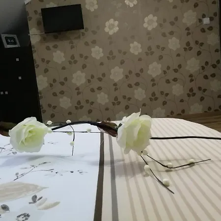 House Minerilor Kaloşvar