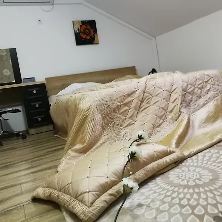 House Minerilor Lejlighed *