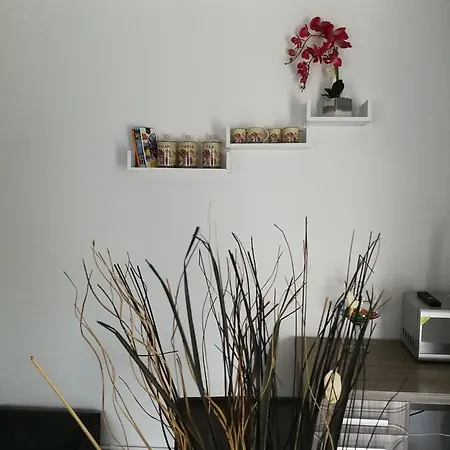 Apartament House Minerilor Kluż-Napoka