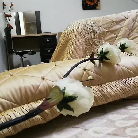 House Minerilor Kluż-Napoka