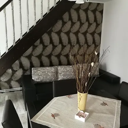 House Minerilor Cluj-Napoca