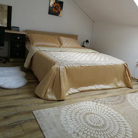 House Minerilor Apartament