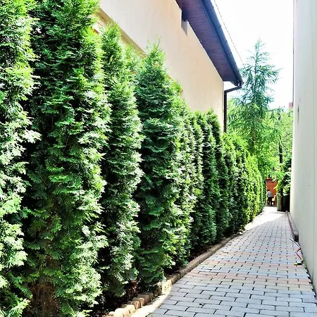 House Minerilor * Cluj-Napoca