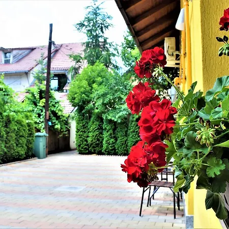 House Minerilor Apartament