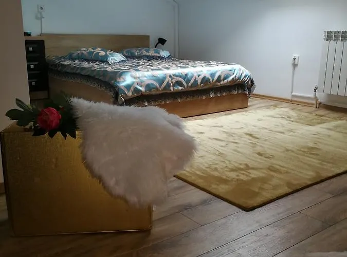 House Minerilor Apartament