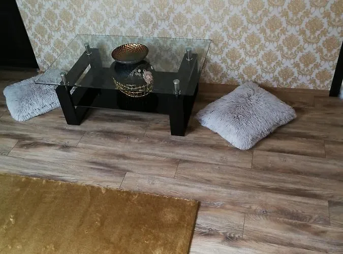 House Minerilor Apartament *