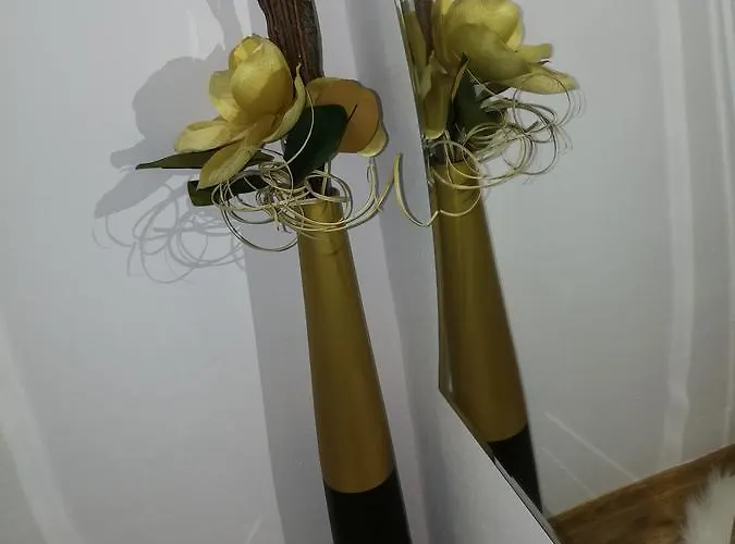 House Minerilor Διαμέρισμα *