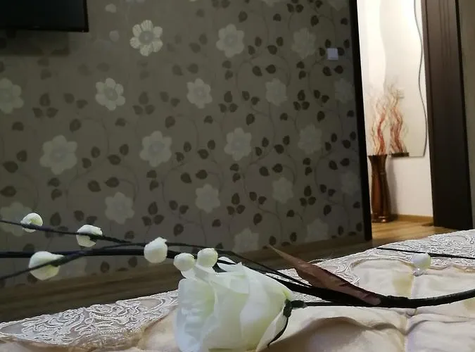 Apartament House Minerilor Cluj-Napoca