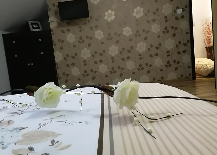 House Minerilor Κλουζ-Ναπόκα