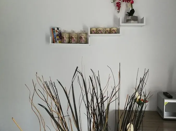 Apartament House Minerilor Cluj-Napoca