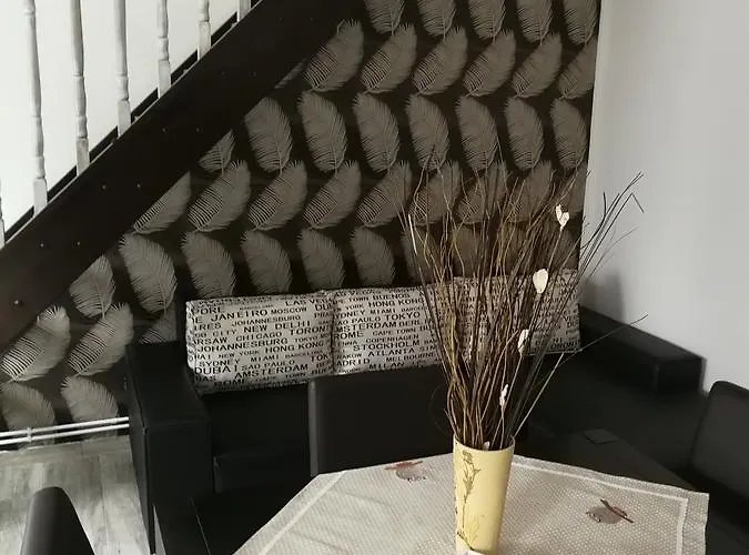 House Minerilor Cluj-Napoca