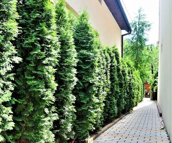 House Minerilor * Kluż-Napoka