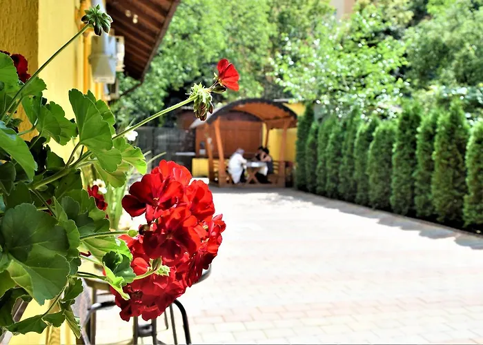 House Minerilor Apartament *