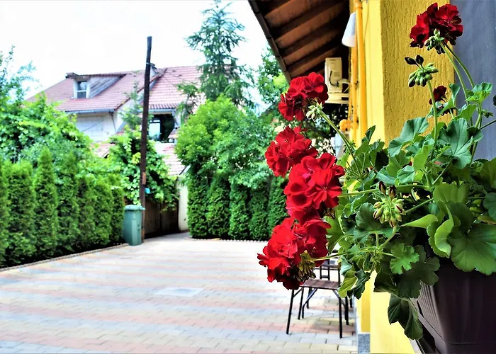 House Minerilor Apartament